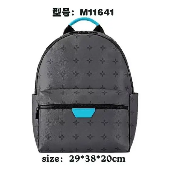 LV Backpack