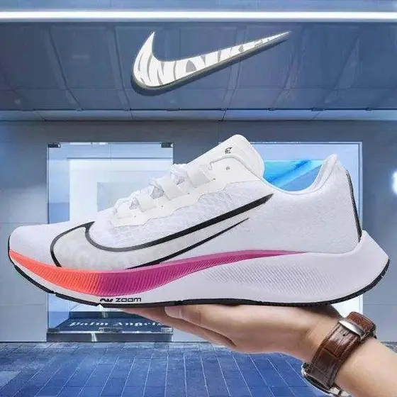 Nike Pegasus Shoes