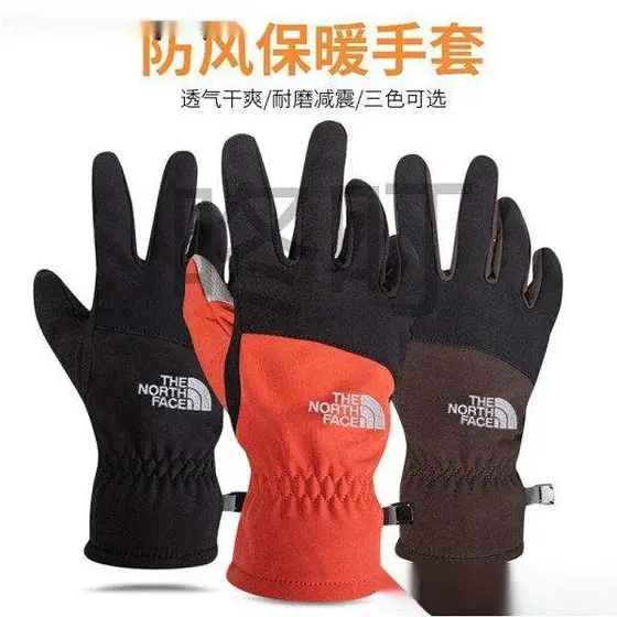 The North Face Gloves